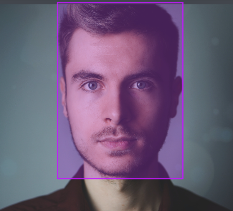 Tight Bounding Boxes in Facial Recognition Technology