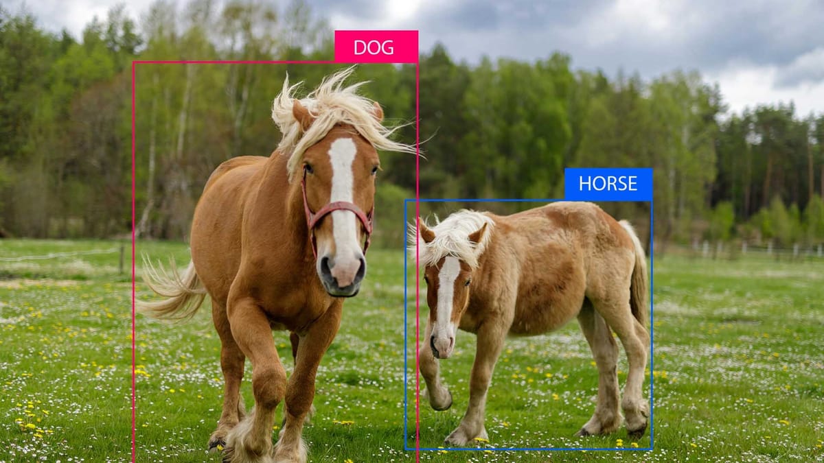 Collaboration and Competition: Running Labeling Contests for Quality Boosts