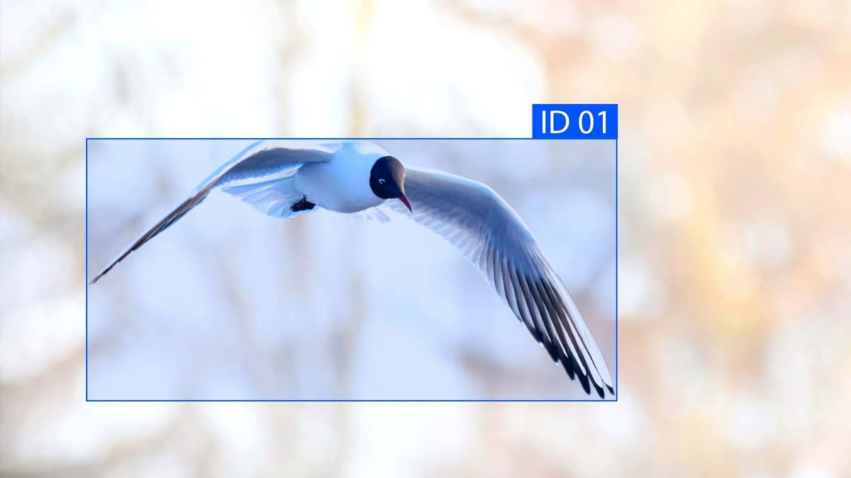 Annotating Data in Resource-Constrained Environments